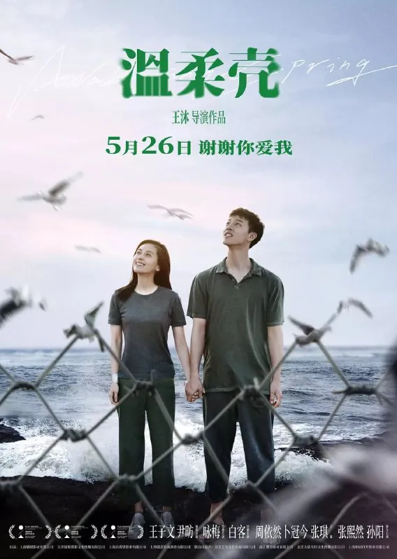 温柔壳（2023）