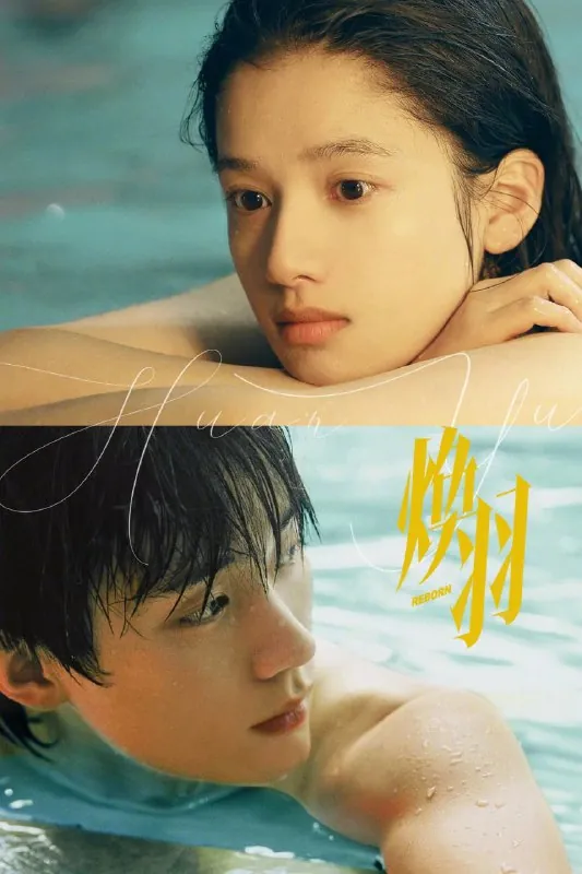 焕羽（2025）4KHDR60fps【更至06集】