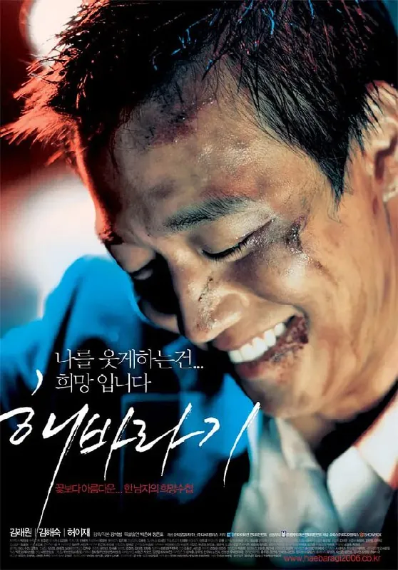 向日葵해바라기（2006）