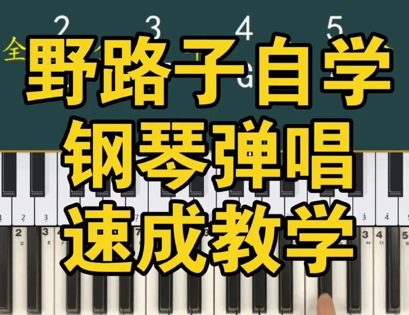 野路子《钢琴弹唱100天速成系统课》