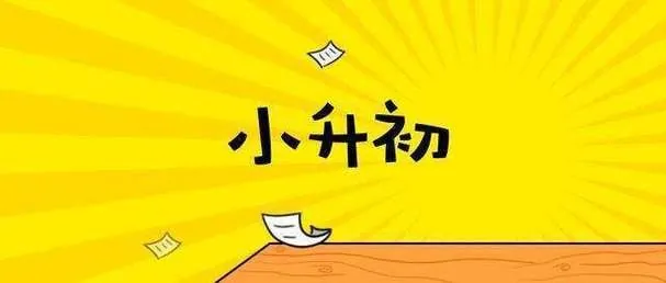 2025年新版小升初语文总复习专项知识点46套Word高清完整版