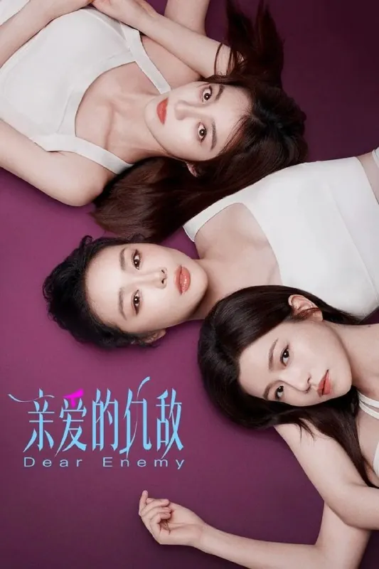 亲爱的仇敌（2025）