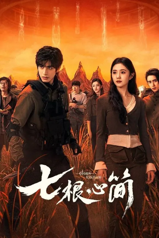 七根心简（2025）
