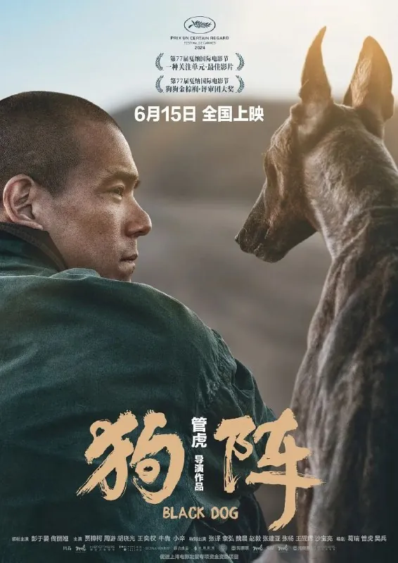 狗阵（2024）